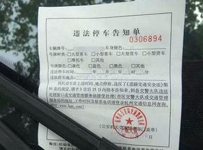 男子因爱车被贴罚单意外揭开妻子出轨真相