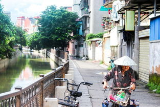 小城生活：藏在时光里的温暖与故事