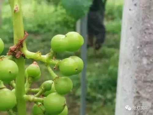 摘构穗：去掉冗余，让写作更精炼