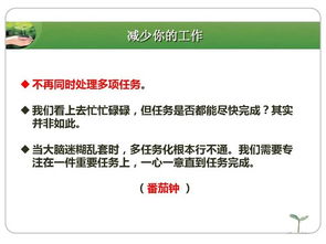 从厨房小白到生活达人：豆豆的精简生活之道