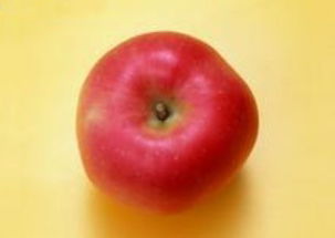 与“苹果”的渊源：一场科技革命的见证