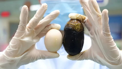 7个月婴儿误舔蜂蜜勺中毒，肉毒杆菌的真相与警惕