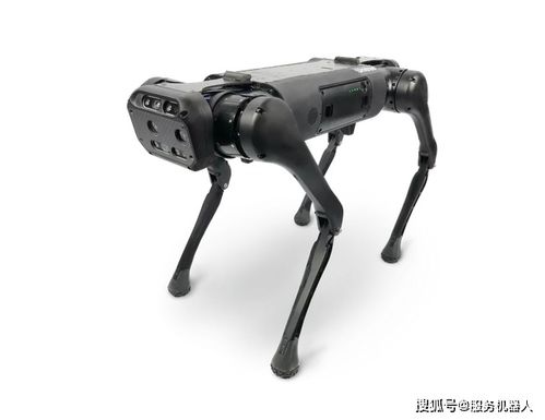宇树机器狗变身移动水炮：科技前沿的奇迹