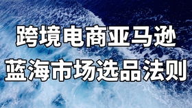 什么是蓝海产品？从个人视角解读蓝海市场的秘密