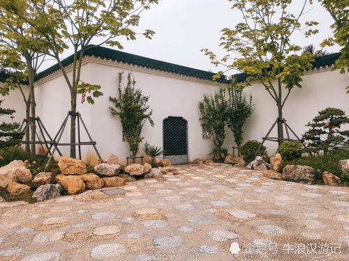 一不小心闯入现实版莫奈花园