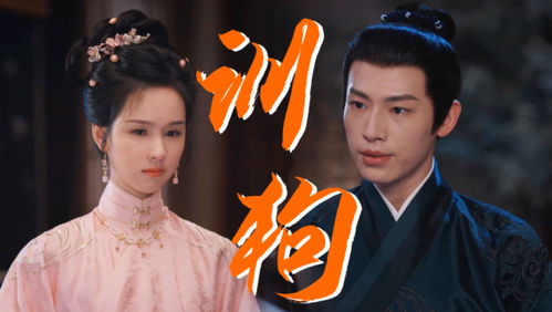 雁回时全员升咖：一场追梦者的蜕变之旅