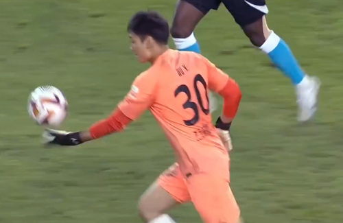 谢晖炮轰大连主场不浇水：真相与背后的故事