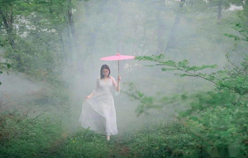 爱在春风里：组诗中的深情与力量