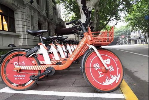 爱上海，爱申城：一座城市的温暖与梦想