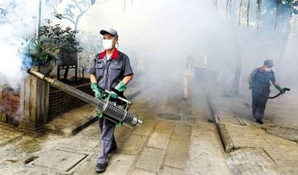 缅甸重灾区暴发霍乱、登革热、疟疾等流行病：灾后危机加剧