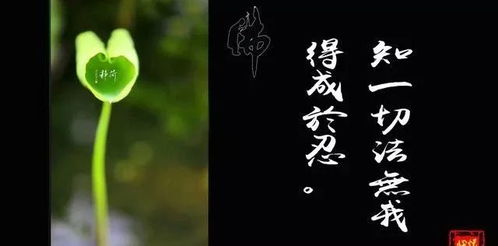 法得成于忍：从书法到人生的修炼之道