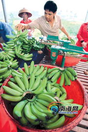 香蕉风波：从简书热搜看社会舆论的力量