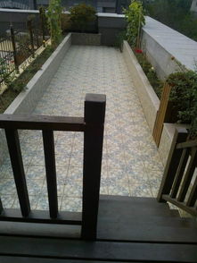 露台挖树记：一场关于绿化的深刻反思