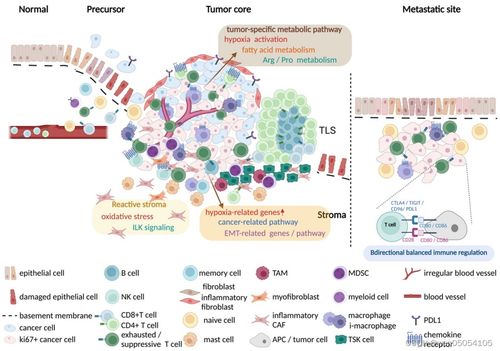 空间组学技术平台选择指南：数据驱动的科学决策