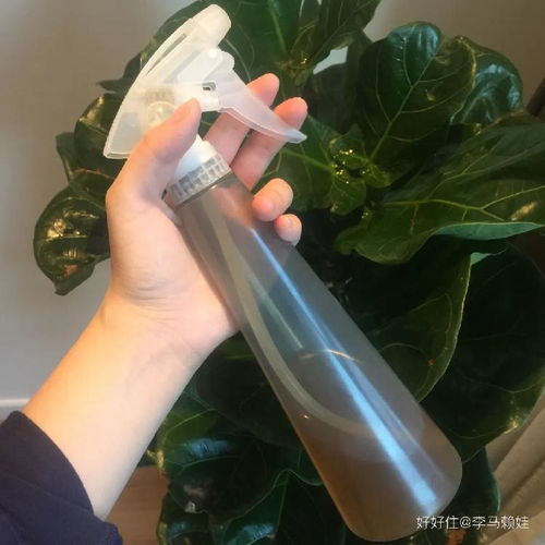 夜读 | 牙刷被同学刷厕所拖把，学校坚称“非霸凌”背后的真相