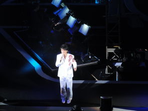 刀郎武汉演唱会：场内场外同频共振的音乐狂欢