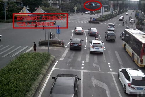 北京司机掉头引发争议：到底要不要等红灯？