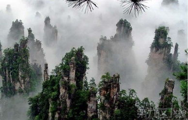 苦尽柑来遇见你：在张家界邂逅甜蜜与奇迹