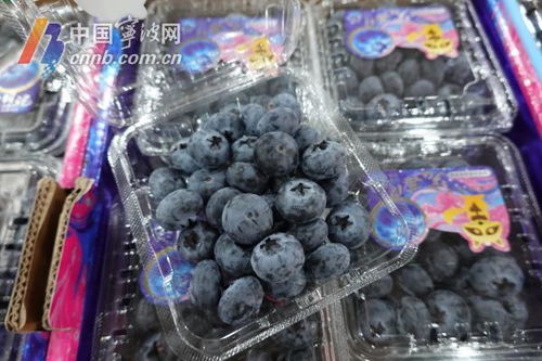 蓝莓价格大跳水，水果皇后为何如此亲民？
