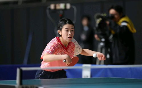 张本美和的崛起之路：从挑战者到冠军