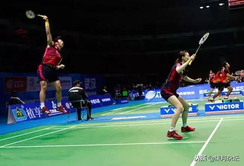 羽毛球搭子的重要性：从兴趣到社交的双赢选择