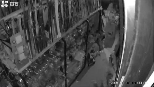 广东高州地震监控画面：亲历者的视角