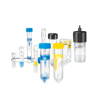 WB试剂与耗材选择指南：小白到大神的进阶之路