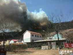 韩国史上最严重山火：从祭祀引发到复燃的全过程