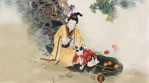 评书三国的魅力：郭德纲口中的冷门与经典