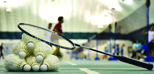 爱上羽毛球：从零基础到挥拍自如的蜕变之旅