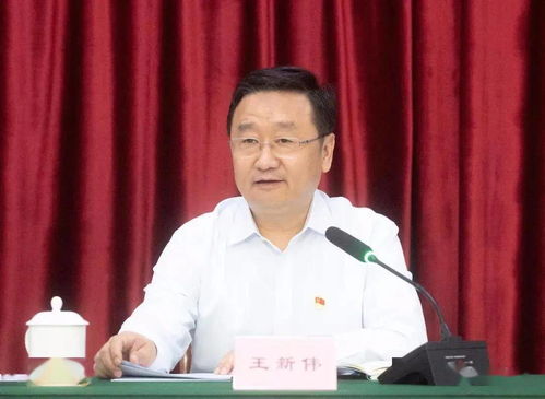 王新伟当选辽宁省省长：新时代辽宁发展的新起点