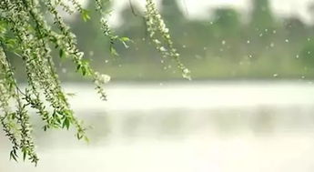 人间四月天，我与春光的浪漫邂逅