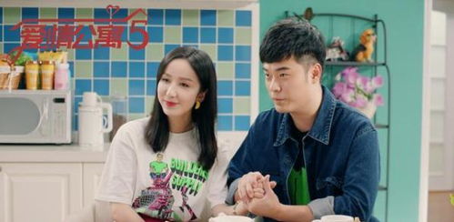 《爱情公寓》前四季为何一年一部，而第五季却「难产七年」？