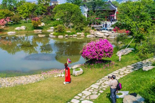 北京超出片赏花小镇：春日限定大片不容错过