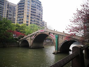 杭城三月天：一场与春花的浪漫邂逅