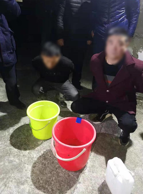 非法捕捞“水中软黄金”？4人当场被抓，真相令人震惊！