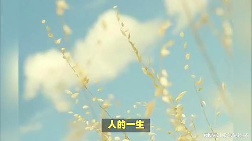 放下烦恼，从心开始：一段自我救赎的旅程