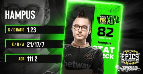 小蜜蜂Vitality三连冠之路：从悬念到辉煌