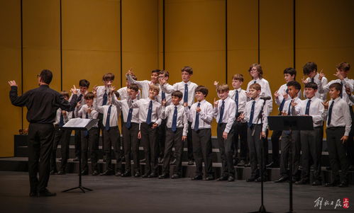 甲亢哥和田一名合唱：从直播间到舞台的音乐梦想
