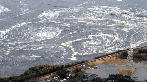 日本特大地震风险或致30万死：专家警告与防灾思考