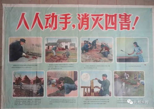 我们贴吧的四害是什么？一起揭开网络社区的隐患