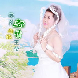 故乡梦·同学情：一次心灵的归途