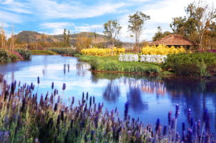 从乌江畔到滇池边：民族团结的深刻实践