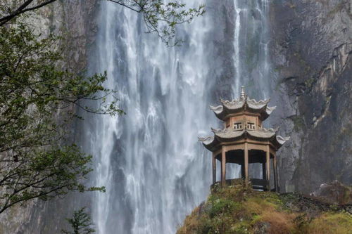 售价近400的魂游卡赞值不值？玩家的真实体验告诉你答案