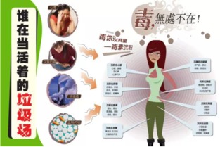 中医把脉何炅甲亢哥：从脉象看健康秘密