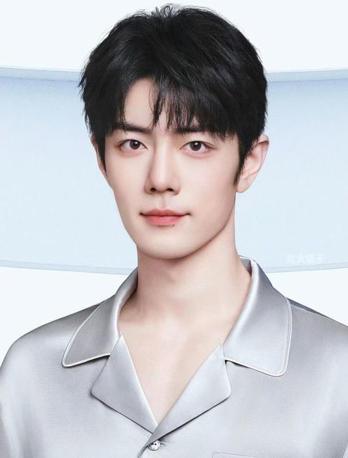 肖战与猫人携手第二年：科技内衣的温暖新纪元