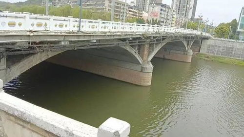 外卖员刘应强：用生命诠释见义勇为