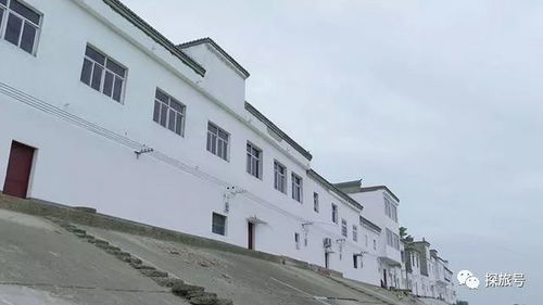 女副县长斥资249万刷白墙事件背后：基层治理中的形式主义反思