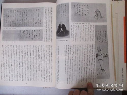 三平图片集：生活碎片中的温暖与感动