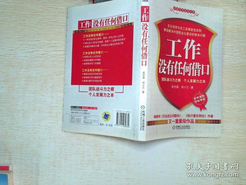 工作没有任何借口：以专业精神铸就成功之路
